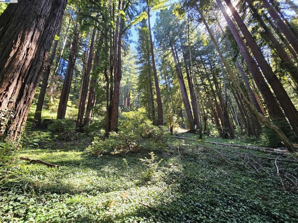 Lot26 Old La Honda Rd, Woodside, CA 94062 — photo 1