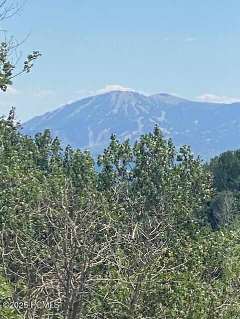 2684 S Forest Meadow Road Fm-C-86-A-Am, Coalville, UT 84017 — photo 1