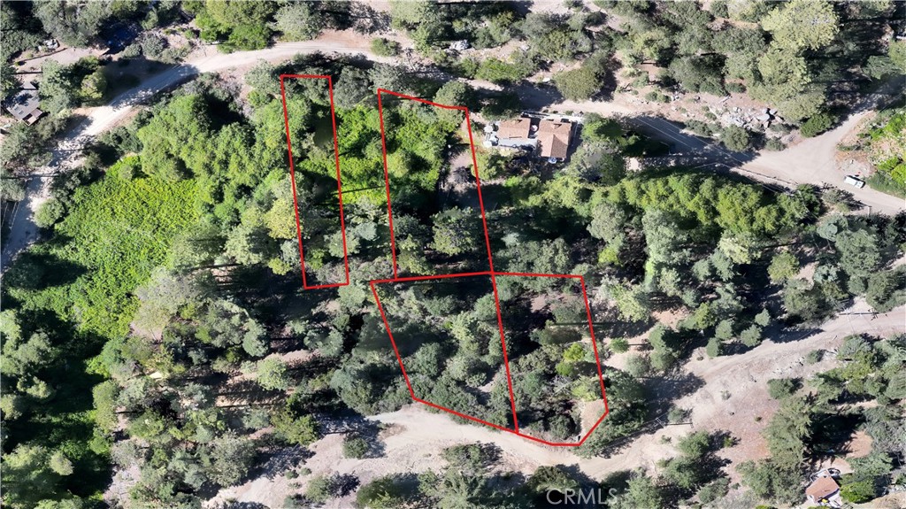 29629 Little Bear Creek Road, Cedar Glen, CA 92321 — photo 1