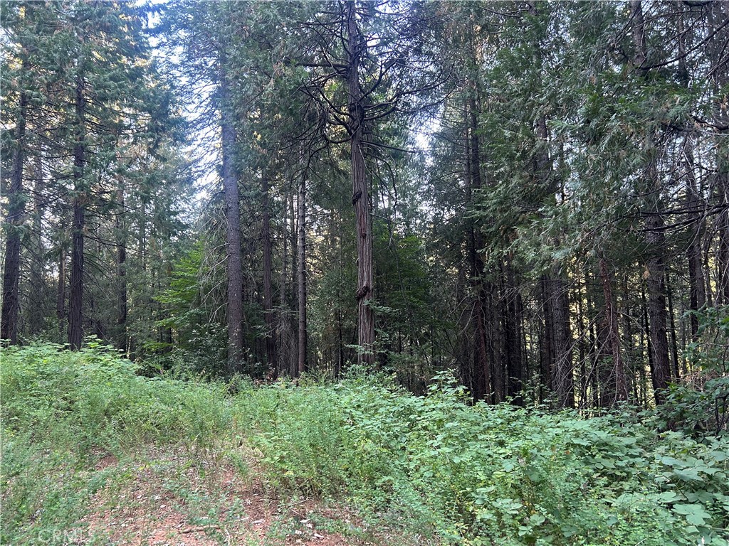 6418 Hupp Coutolenc Road, Magalia, CA 95954 — photo 1