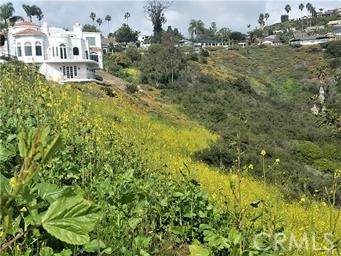 0 El Levante, San Clemente, CA 92672 — photo 1