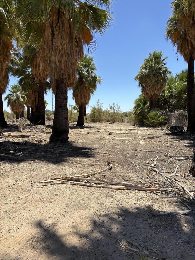 51 W 4th St, Niland, CA 92257 — photo 1