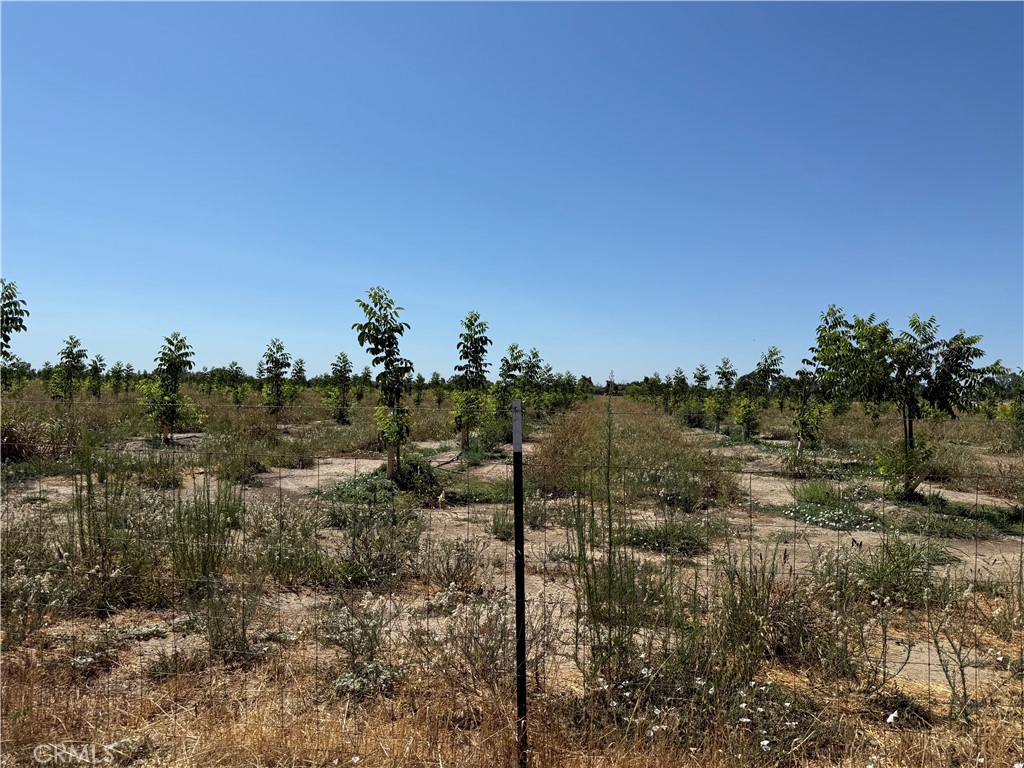 0 Loleta, Corning, CA 96021 — photo 1