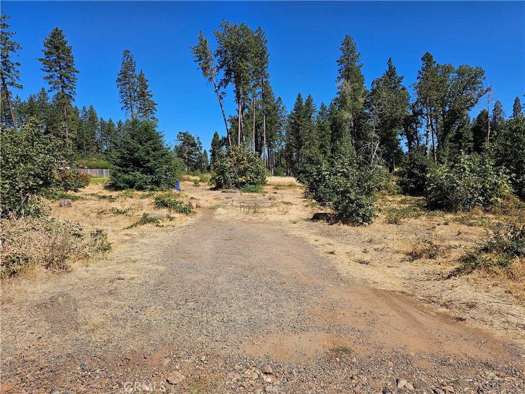 1533 Forest Service Rd, Paradise, CA 95969 — photo 1