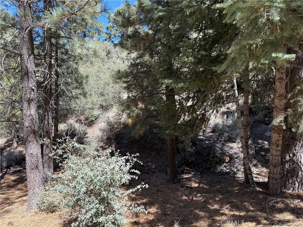 1420 Linden Drive, Pine Mountain Club, CA 93222 — photo 1