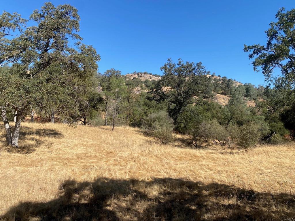 8 Tioga Drive, Coarsegold, CA 93614 — photo 1