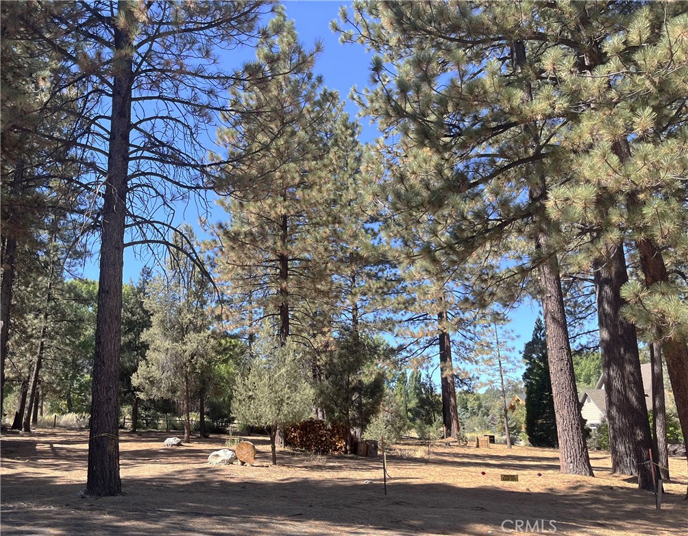 2613 Teakwood Court, Pine Mountain Club, CA 93222 — photo 1