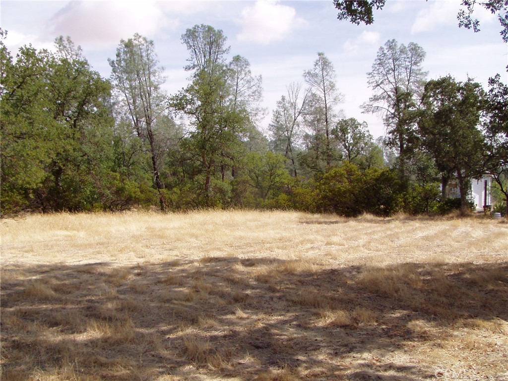 15838 El Dorado Drive, Corning, CA 96021 — photo 1