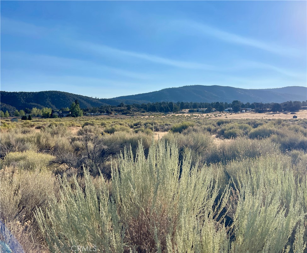 0 Steinhoff Road, Frazier Park, CA 93225 — photo 1