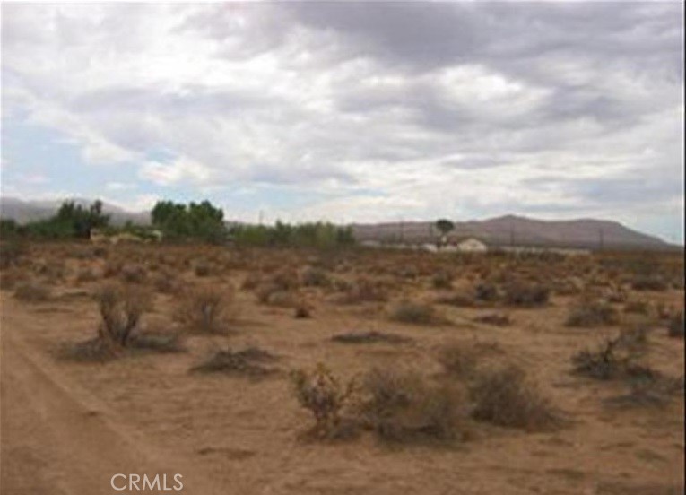 25982 Bellflower Road, Apple Valley, CA 92308 — photo 1