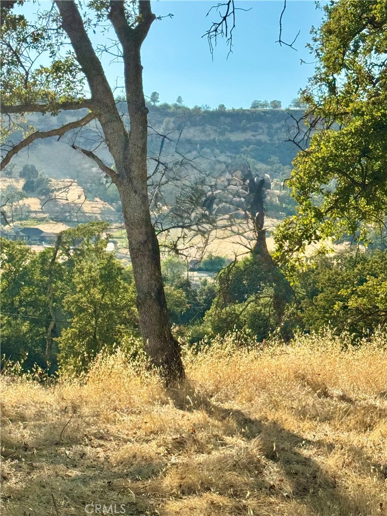 3258 Dry Creek Road, Oroville, CA 95965 — photo 1