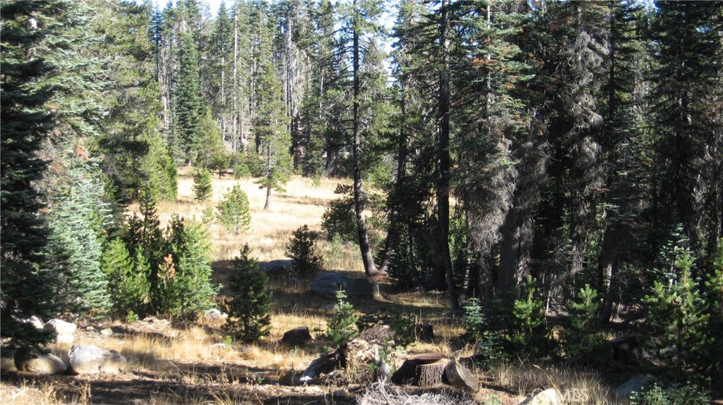 0 sugar pine, Berry Creek, CA 95972 — photo 1