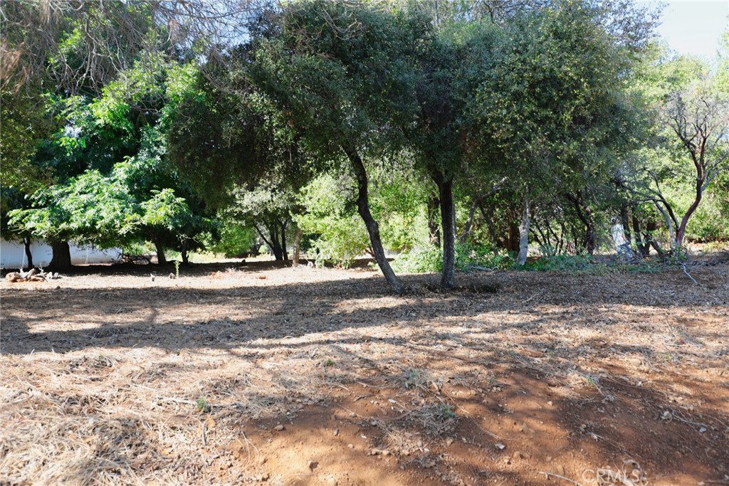 3407 Toyon Ct, Kelseyville, CA 95451 — photo 1