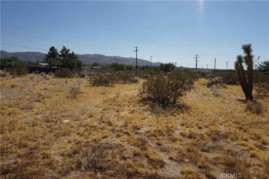 6101 Scenic Drive, Joshua Tree, CA 92252 — photo 1