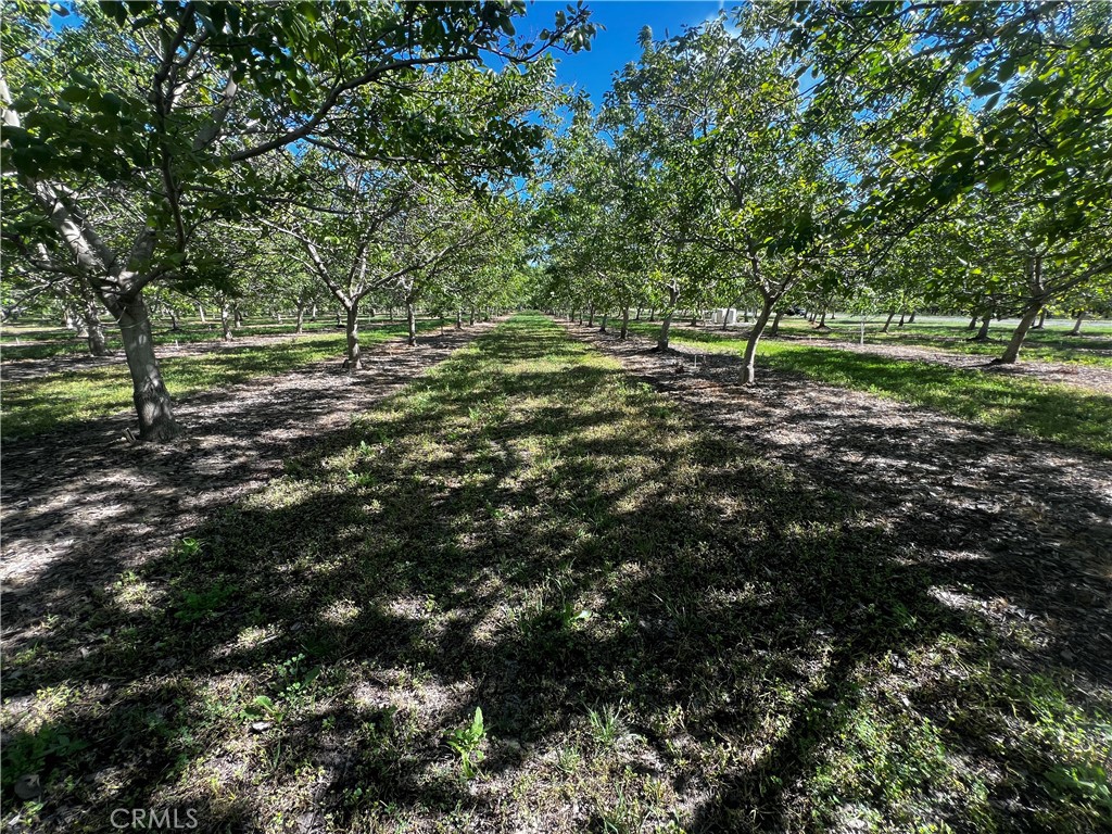 4180 COUNTY 203 Road, Hamilton City, CA 95951 — photo 1