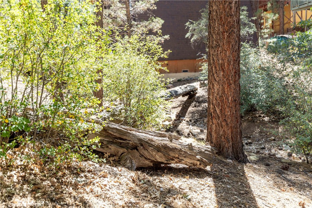 0 lot 44 Kern, Sugarloaf, CA 92386 — photo 1