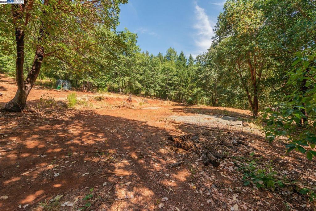 171 Connor Creek Rd, Junction City, CA 96048 — photo 1
