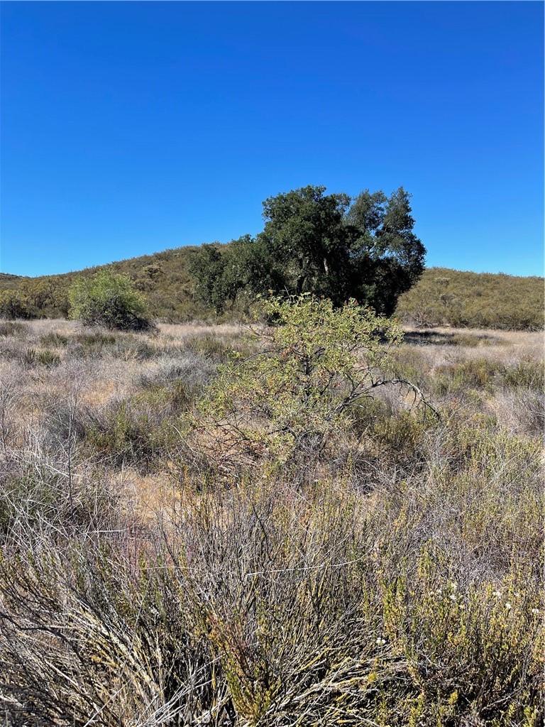 21 Stier Street, Hemet, CA 92544 — photo 1
