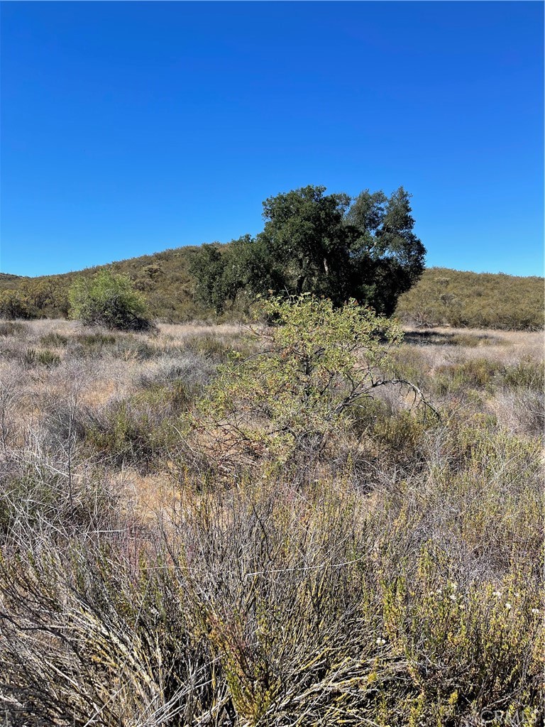 20 Stier Street, Hemet, CA 92544 — photo 1