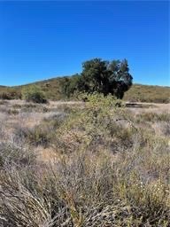19 Gunnels Drive, Hemet, CA 92544 — photo 1