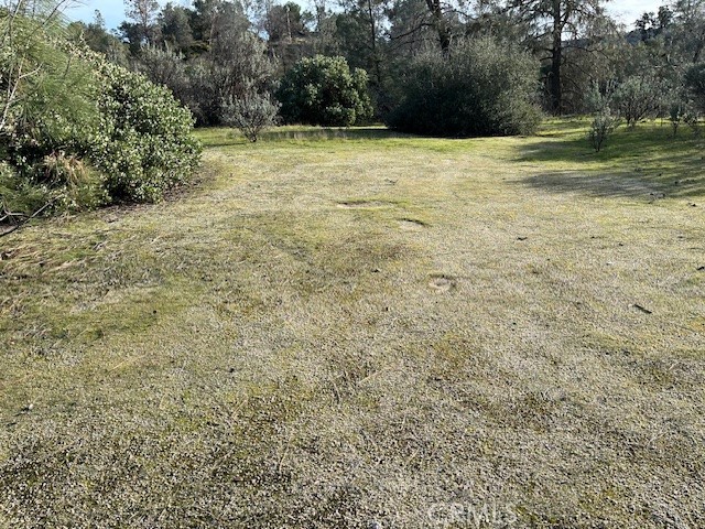 1713 S Longhollow Court, Coarsegold, CA 93614 — photo 1