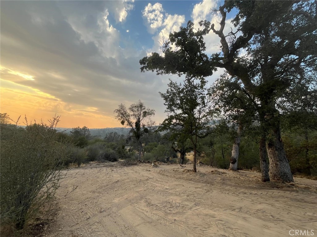 1703 Long Hollow Drive, Coarsegold, CA 93614 — photo 1