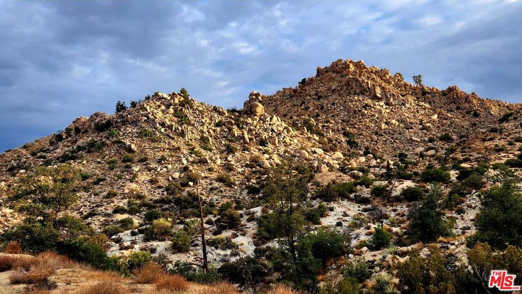 10 W Omega Trail, Yucca Valley, CA 92284 — photo 1