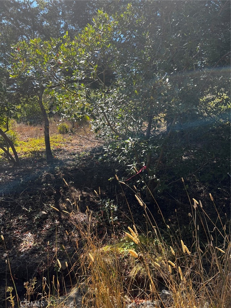3236 Gleason Street, Cambria, CA 93428 — photo 1