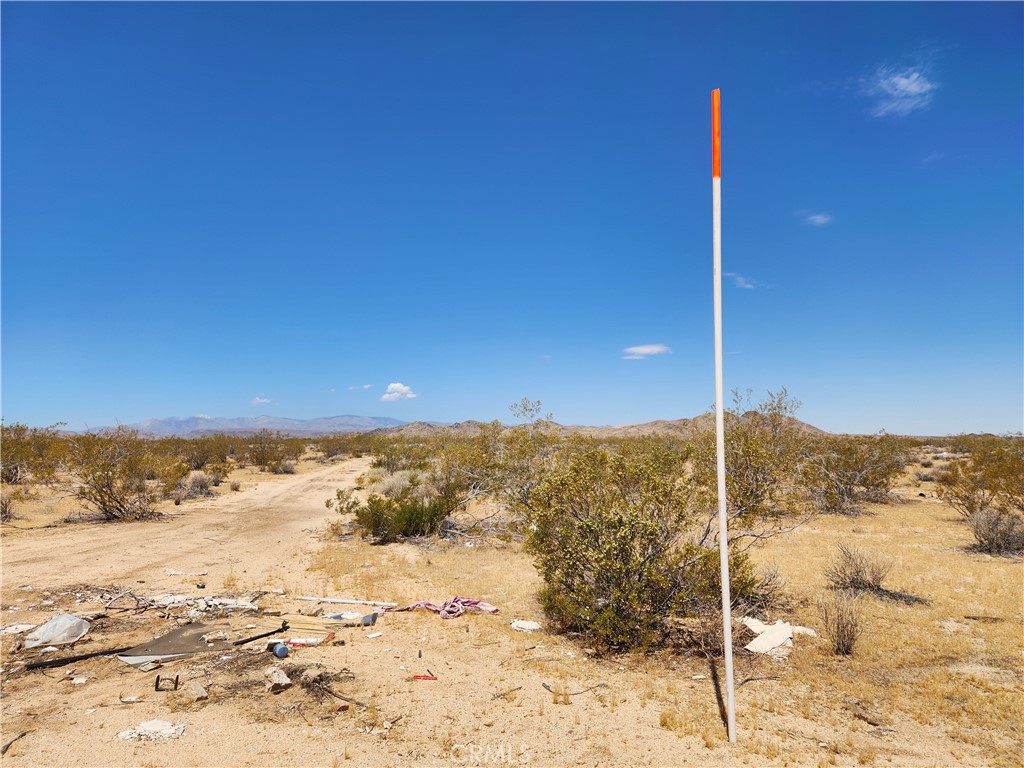 40 AC Joshua Tree, Joshua Tree, CA 92252 — photo 1