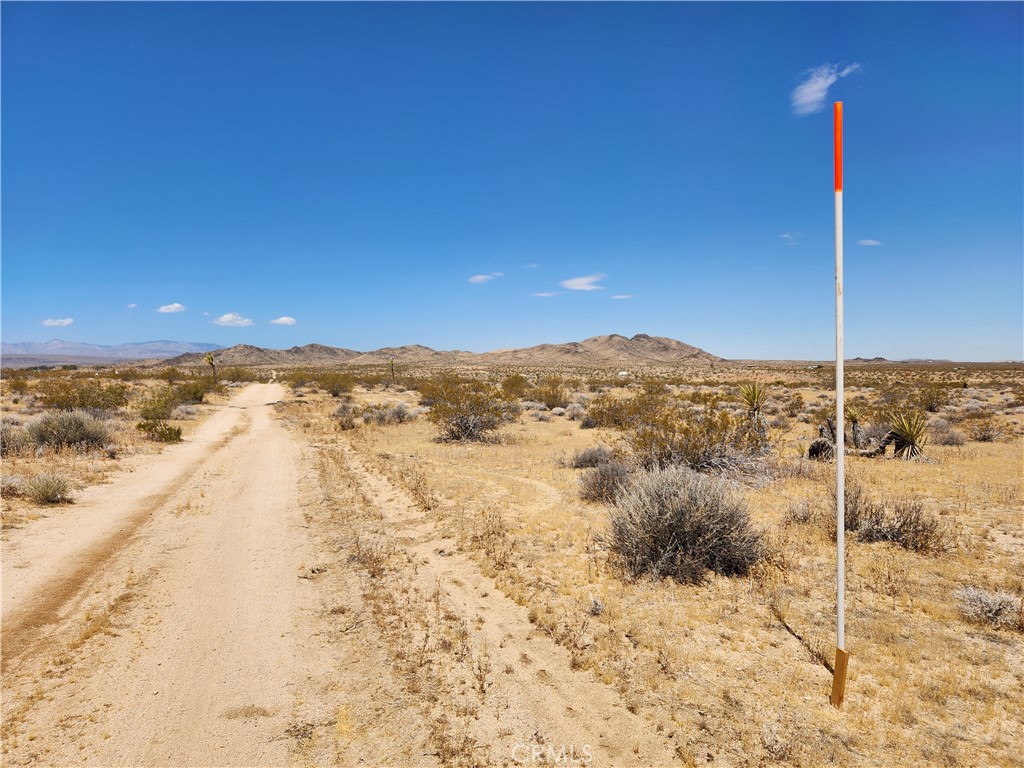 15 AC Bowman Trail, Joshua Tree, CA 92252 — photo 1