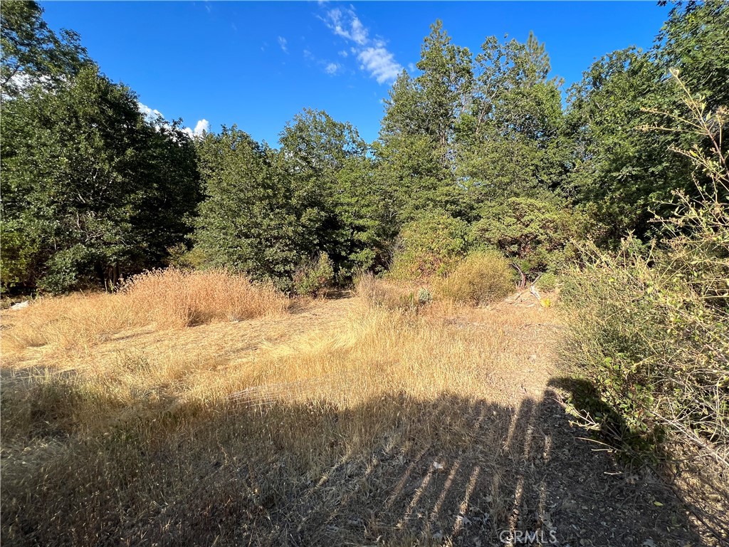 9204 Diamond Dust Trail, Kelseyville, CA 95451 — photo 1