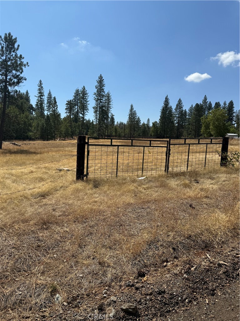 6479 Pine Drive, Coulterville, CA 95311 — photo 1