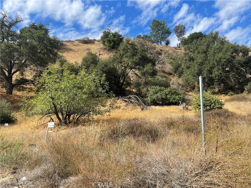 0 Chiquita Canyon RD, Val Verde, CA 91384 — photo 1