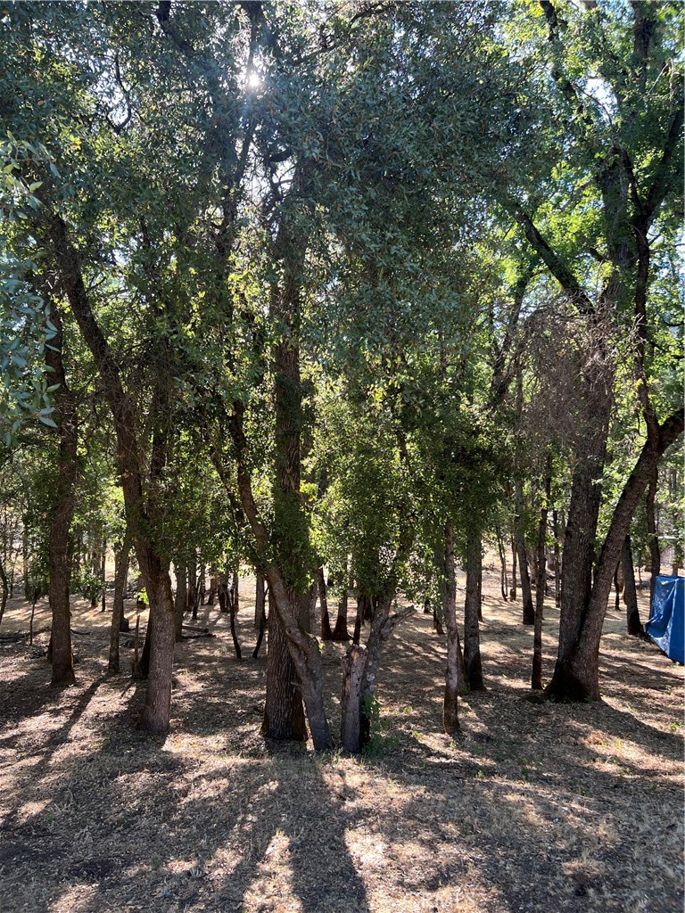 5723 Inca Way, Kelseyville, CA 95451 — photo 1