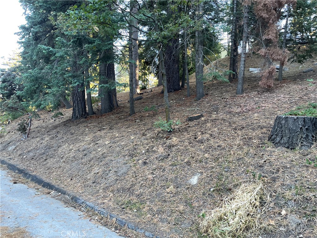 26405 Walnut Hills, Lake Arrowhead, CA 92391 — photo 1