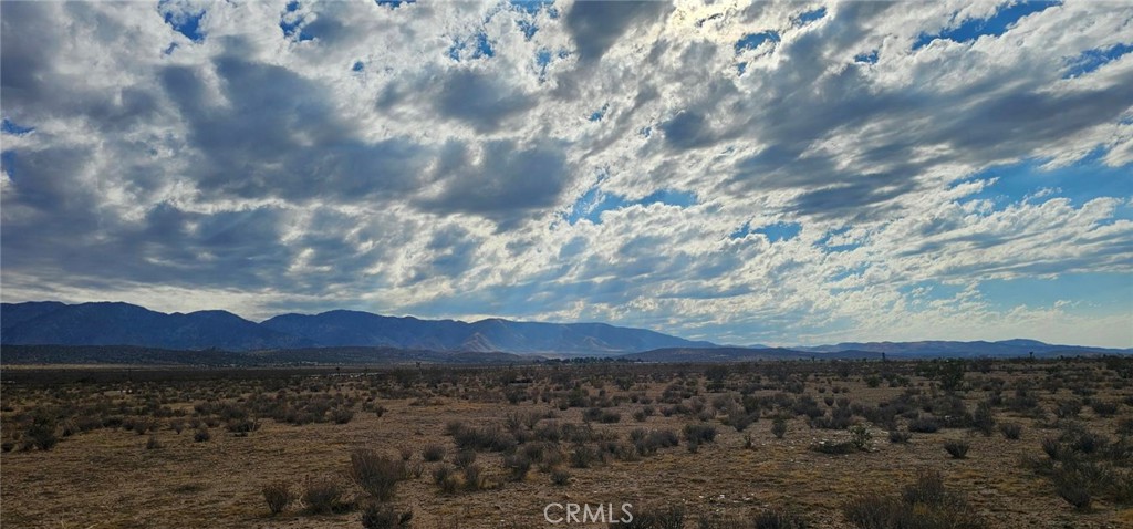 0 179th Street E, Llano, CA 93591 — photo 1