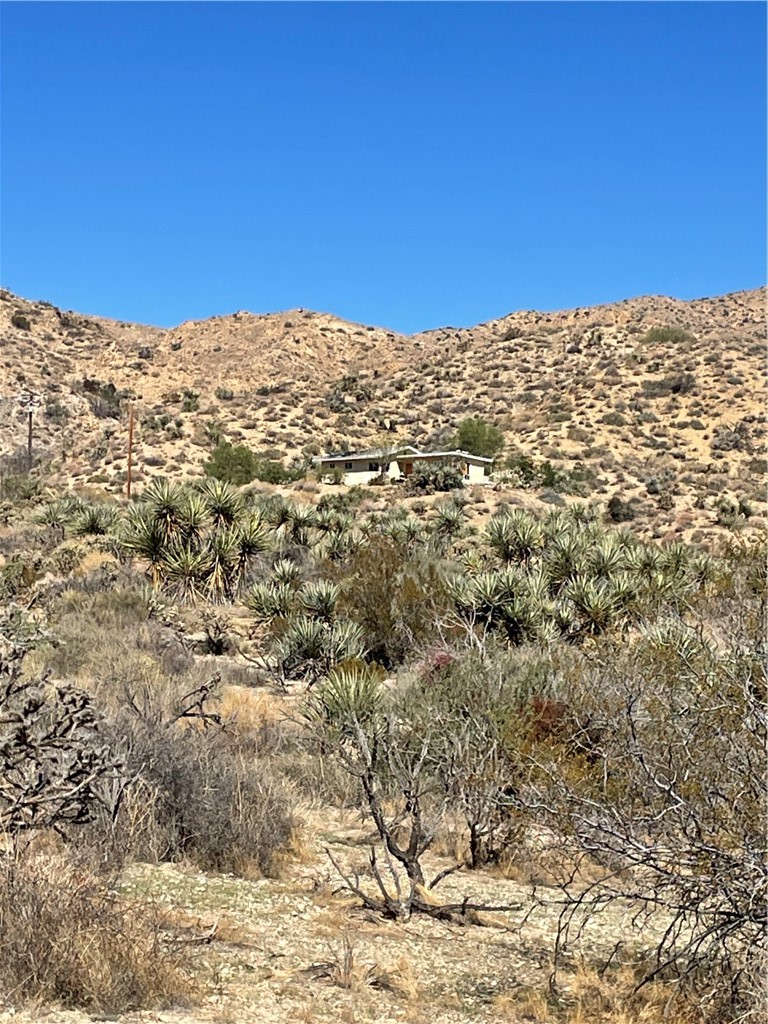 8787 Via La Scala, Morongo Valley, CA 92256 — photo 1
