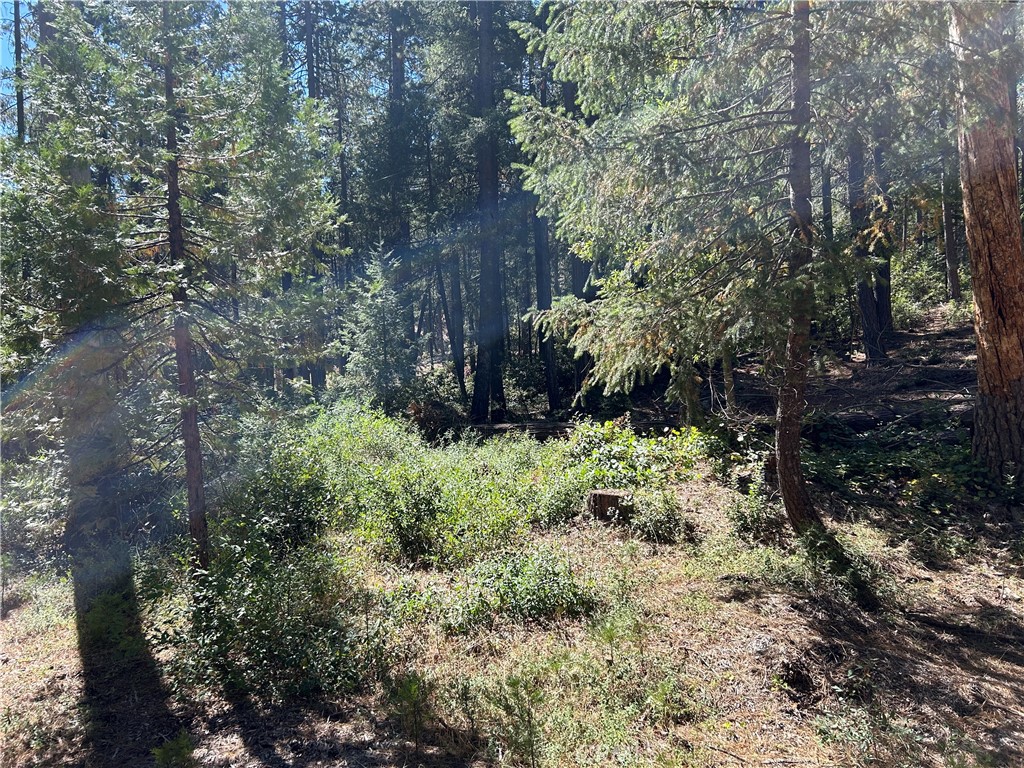 0 coutelenc, Magalia, CA 95954 — photo 1