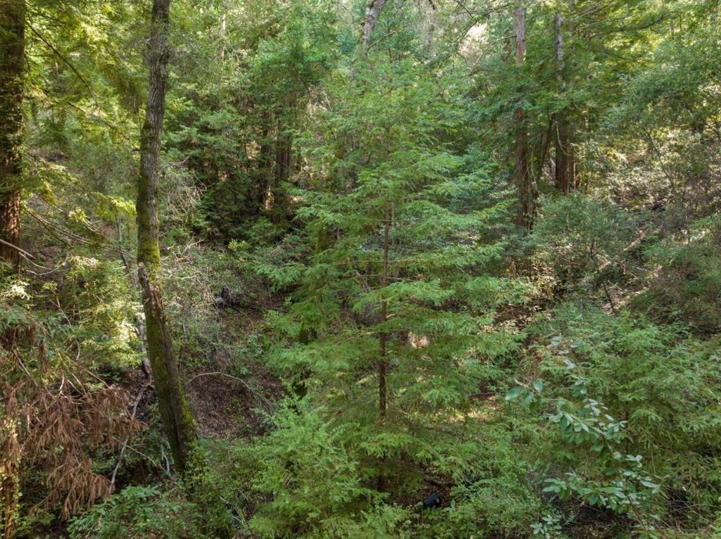 0 Lake Blvd, Felton, CA 95018 — photo 1