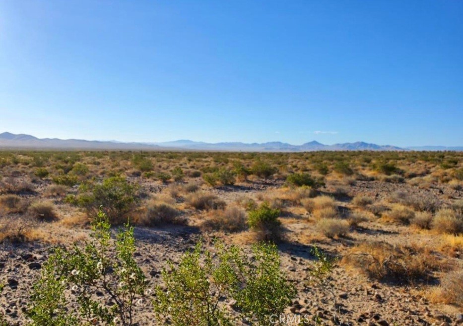 0 Helendale Road, Helendale, CA 92342 — photo 1
