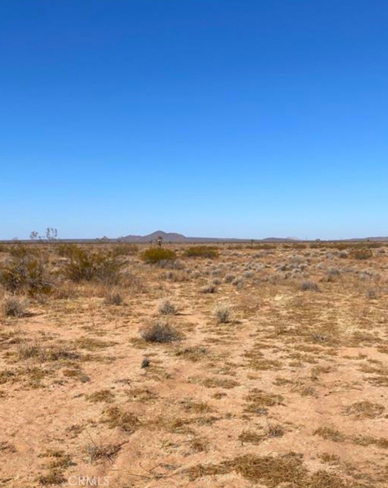 0 Shelby Road, Helendale, CA 92342 — photo 1