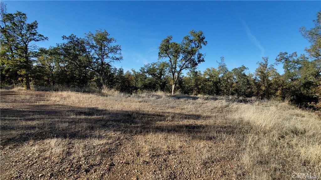 17435 Quail Ridge Road, Cottonwood, CA 96022 — photo 1