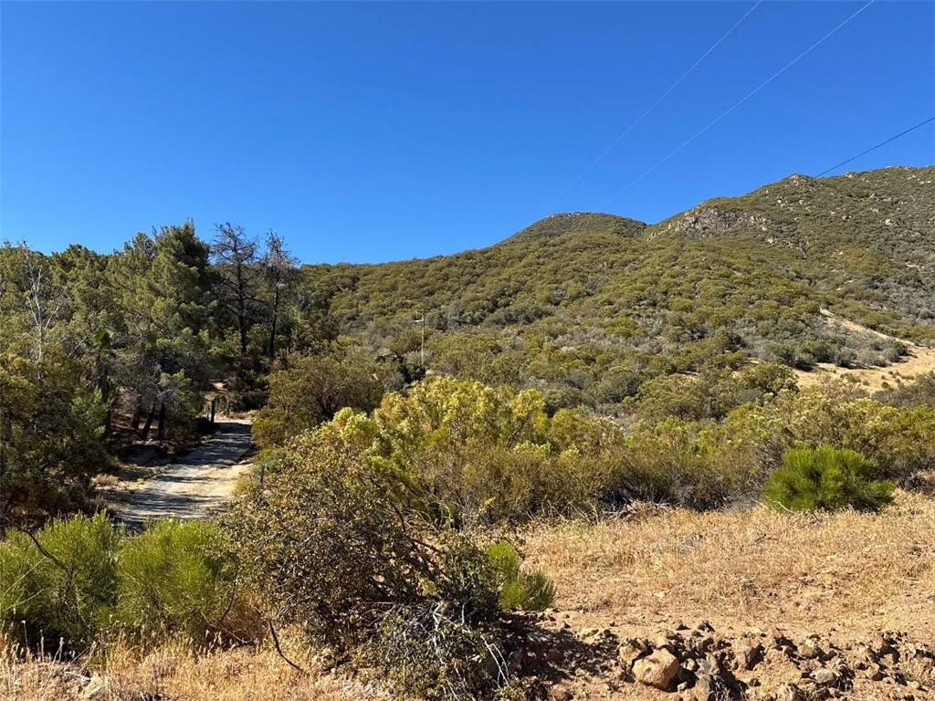 0 Chapman Road, Anza, CA 92539 — photo 1