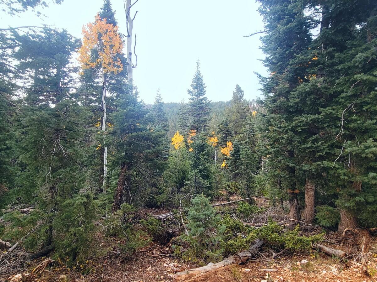 55 S Quakie Place, Duck Creek Village, UT 84762 — photo 1