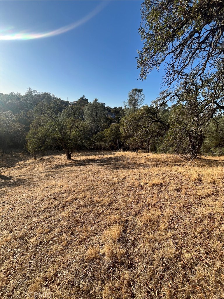175 Lemon Hill, Oroville, CA 95966 — photo 1