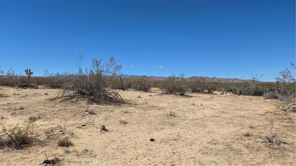 4102 Pine (Jackrabbit) Lane, Landers, CA 92285 — photo 1