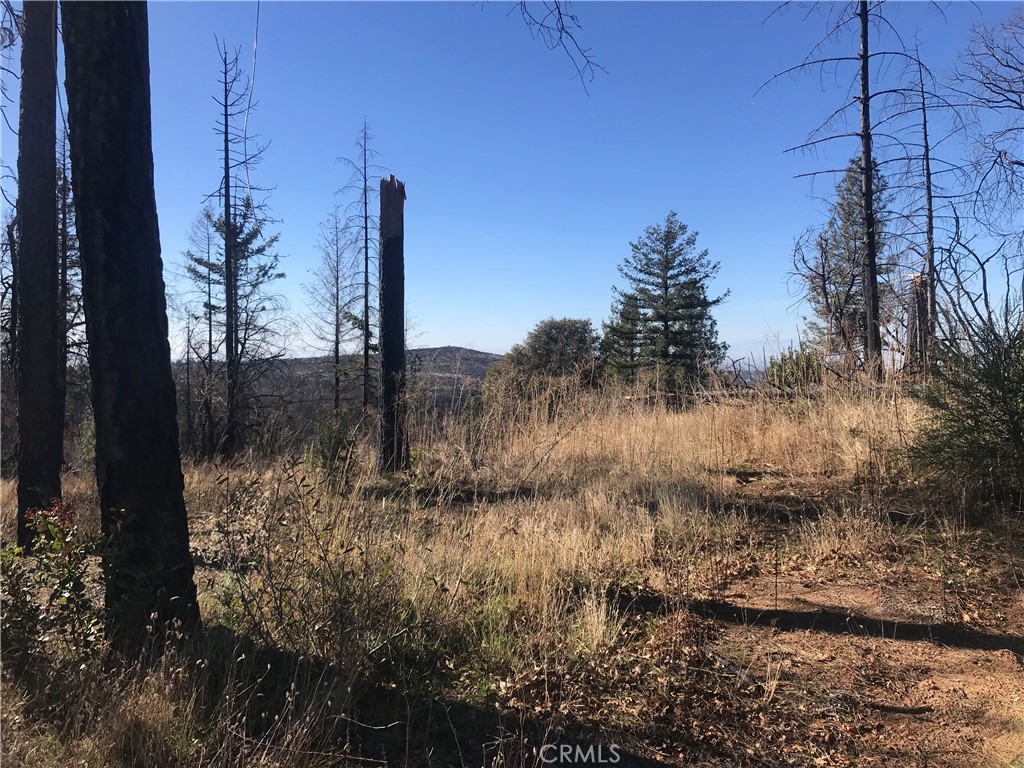 0 kaelin, Berry Creek, CA 95916 — photo 1