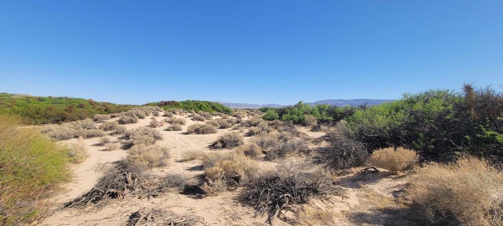 1655 La Buena Tierra Avenue, 29 Palms, CA 92277 — photo 1