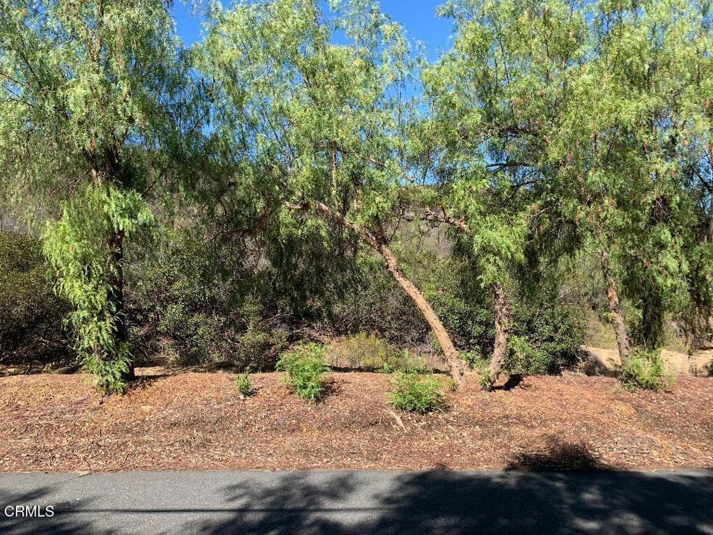 0 S Skyline Drive, Thousand Oaks, CA 91361 — photo 1