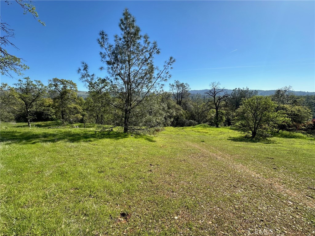 169 Shady Oak Drive, Oroville, CA 95966 — photo 1